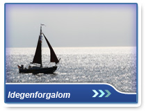 Idegenforgalom